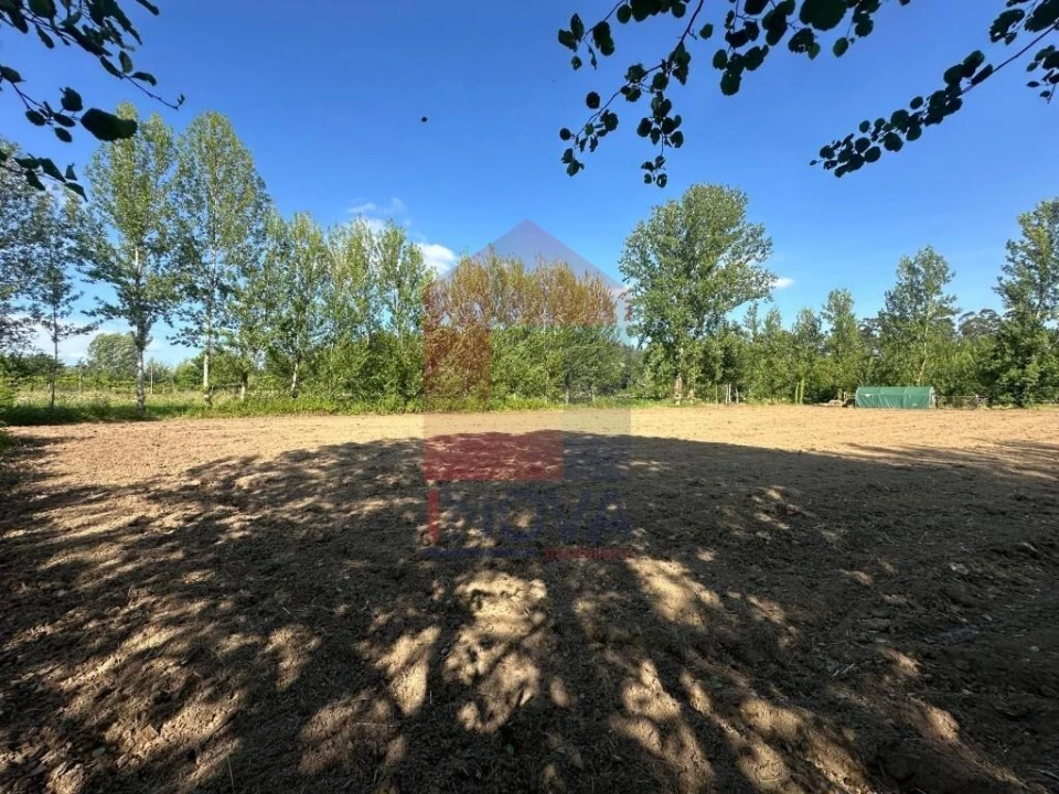 Terreno para Venda em Ribeira do Neiva Foto 5