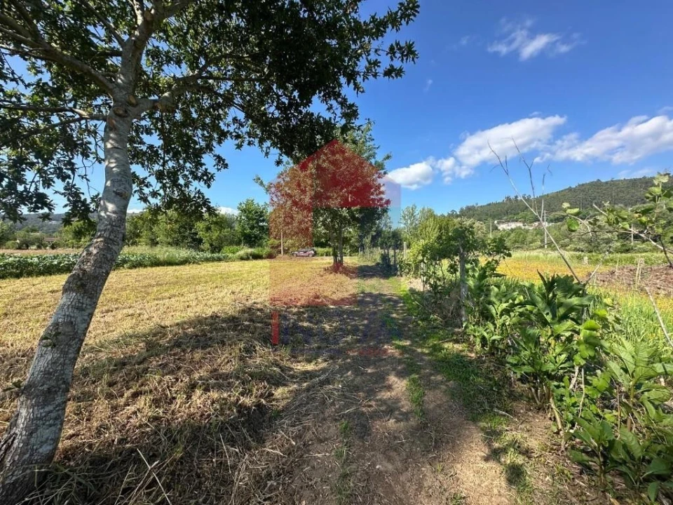 Terreno para Venda em Ribeira do Neiva Foto 22