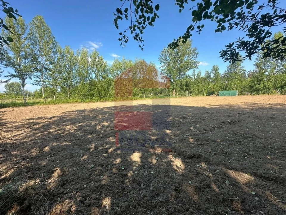 Terreno para Venda em Ribeira do Neiva Foto 16