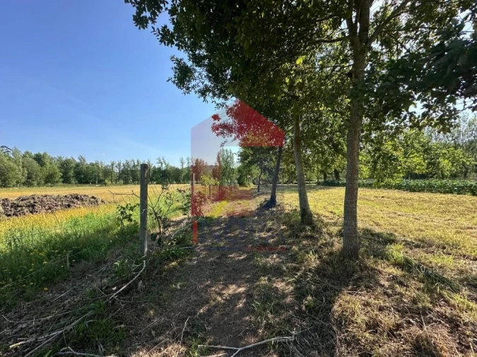 Terreno para Venda em Ribeira do Neiva Foto 21