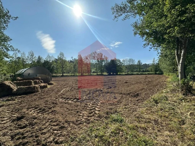 Terreno para Venda em Ribeira do Neiva Foto 19