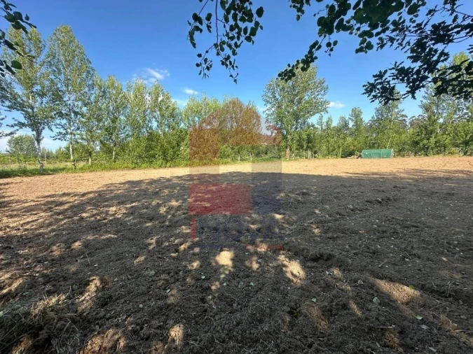 Terreno para Venda em Ribeira do Neiva Foto 16