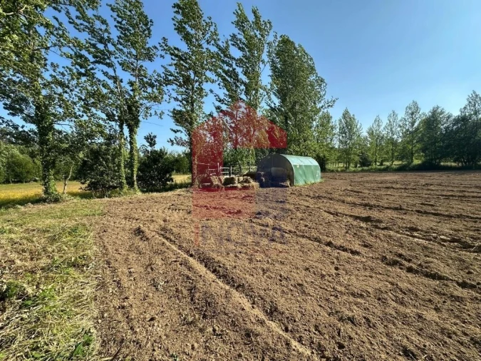 Terreno para Venda em Ribeira do Neiva Foto 9