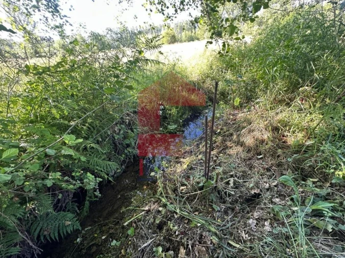 Terreno para Venda em Ribeira do Neiva Foto 13