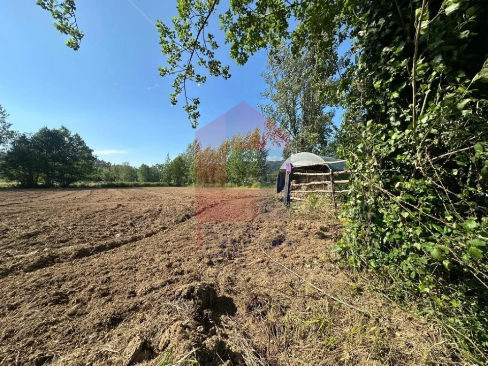 Terreno para Venda em Ribeira do Neiva Foto 2