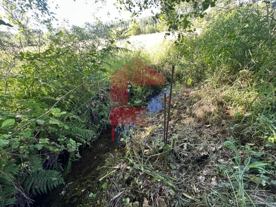 Terreno para Venda em Ribeira do Neiva Foto 13