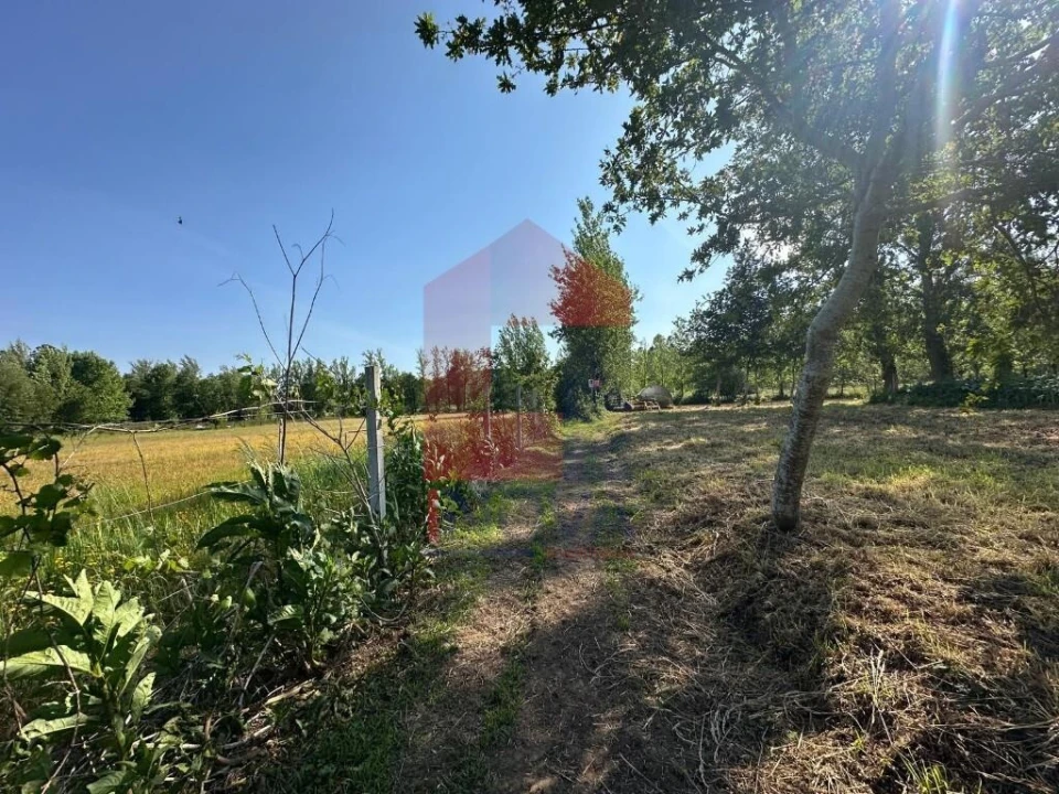 Terreno para Venda em Ribeira do Neiva Foto 11