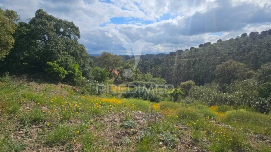 Quinta T2 para Venda em São Marcos da Serra Foto 9