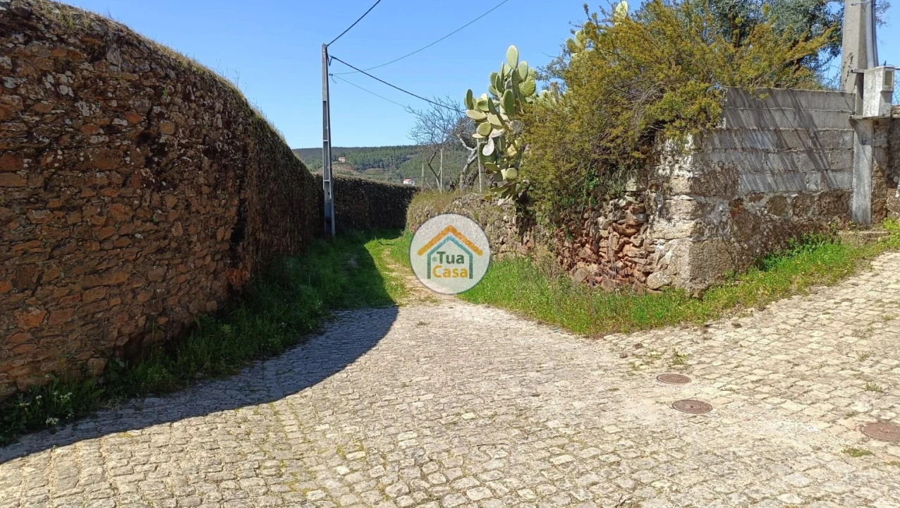Terreno para Venda em São Vicente da Beira Foto 2