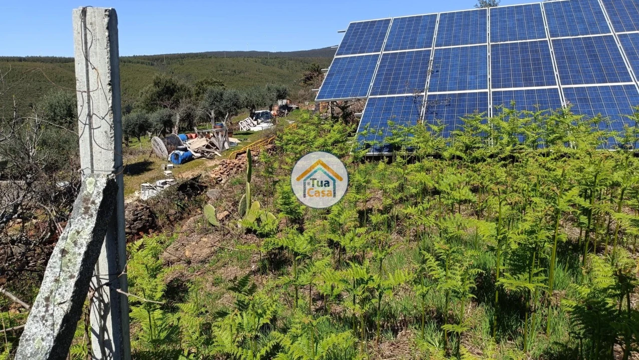Terreno para Venda em São Vicente da Beira Foto 5