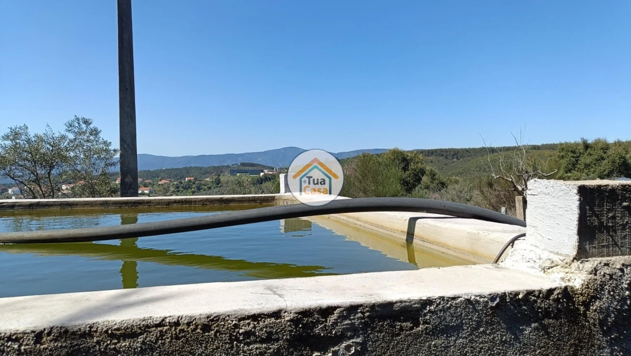 Terreno para Venda em São Vicente da Beira Foto 13