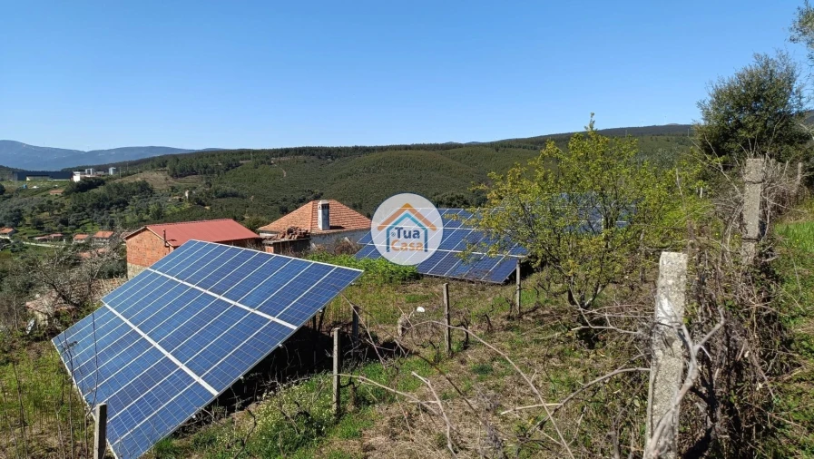 Terreno para Venda em São Vicente da Beira Foto 3