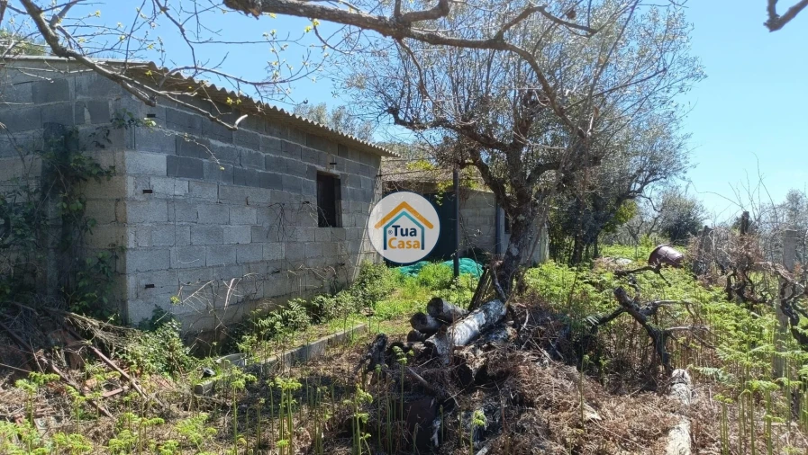 Terreno para Venda em São Vicente da Beira Foto 8