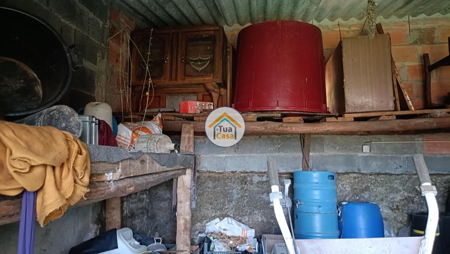 Terreno para Venda em São Vicente da Beira Foto 9