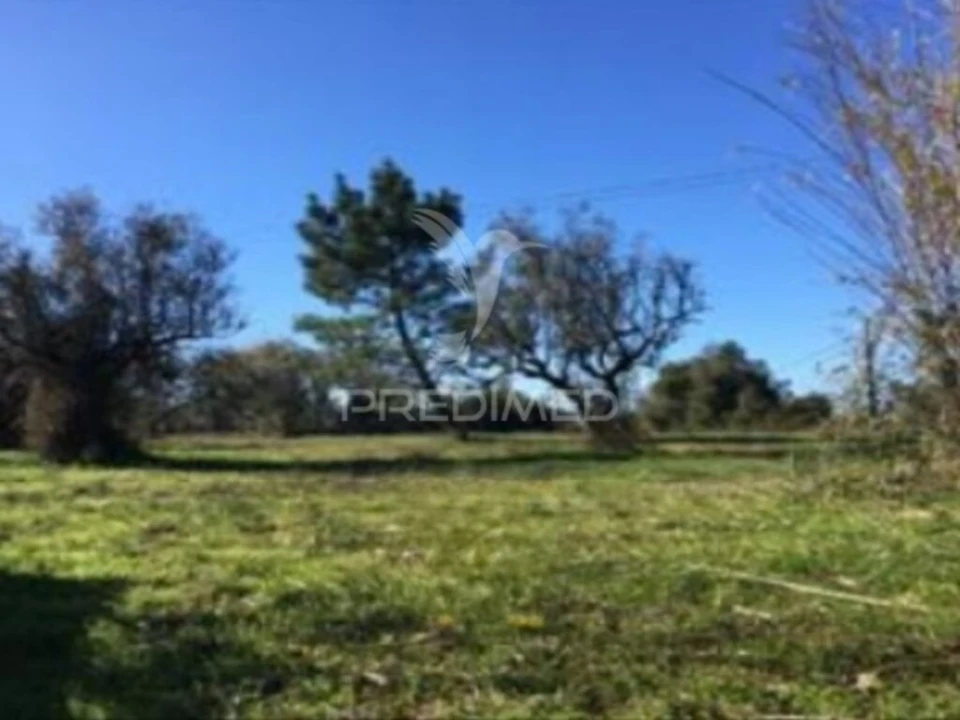 Terreno para Venda em Cantanhede e Pocariça Foto 1