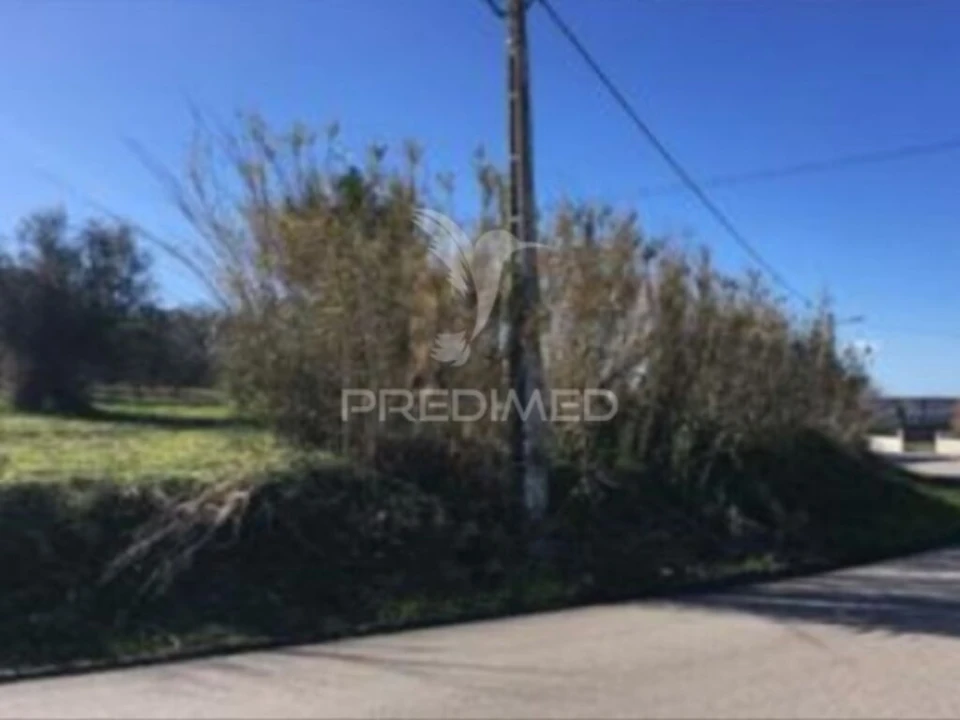Terreno para Venda em Cantanhede e Pocariça Foto 2
