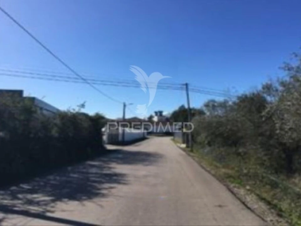 Terreno para Venda em Cantanhede e Pocariça Foto 3