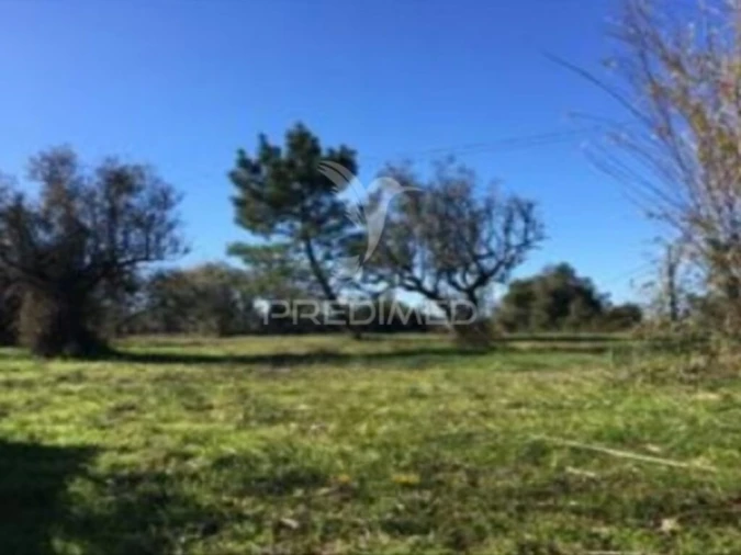 Terreno para Venda em Cantanhede e Pocariça Foto 1
