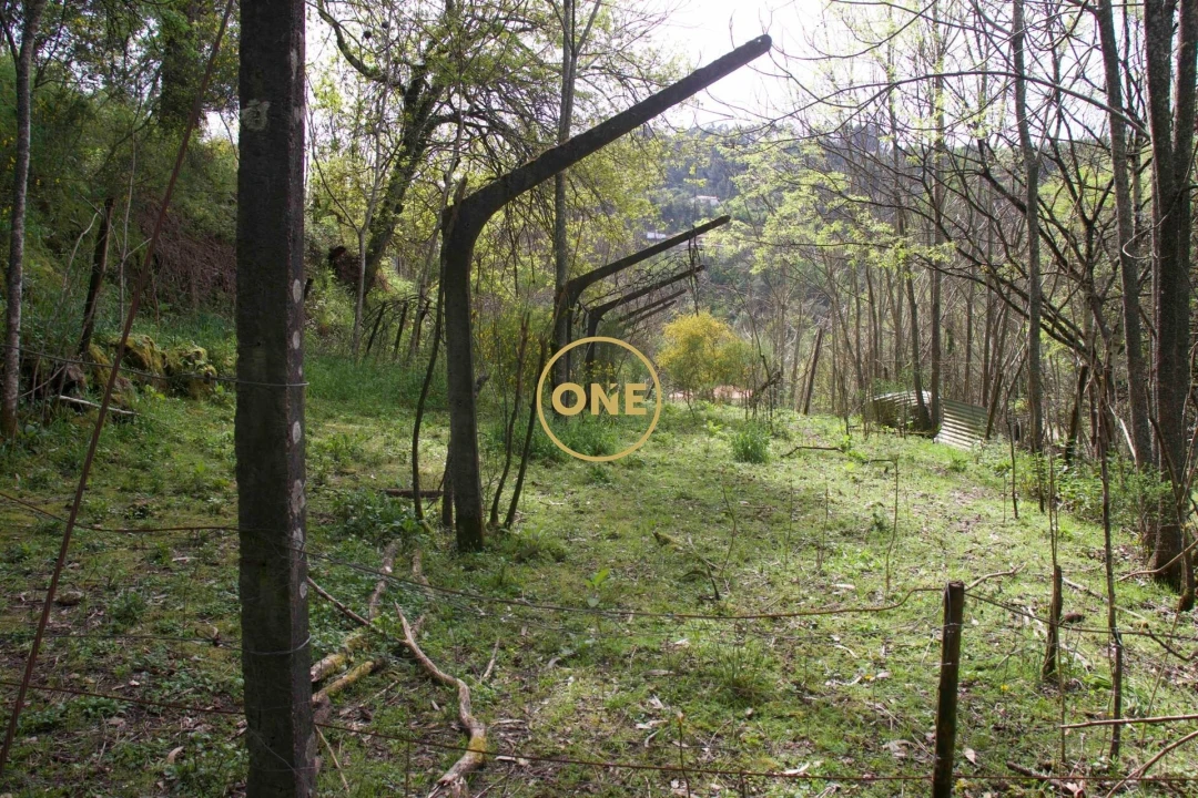 Moradia T4 para Venda em Soalhães Foto 67