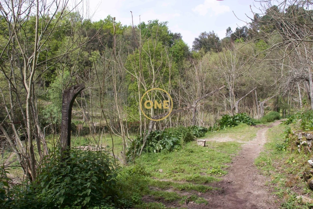 Moradia T4 para Venda em Soalhães Foto 63