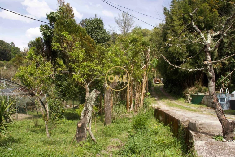 Moradia T4 para Venda em Soalhães Foto 84