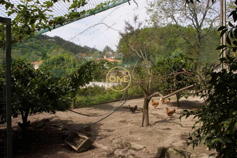 Moradia T4 para Venda em Soalhães Foto 71