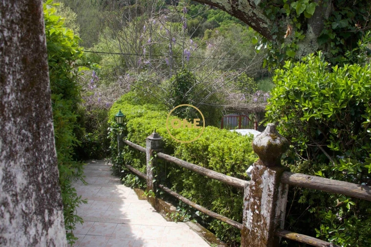 Moradia T4 para Venda em Soalhães Foto 20