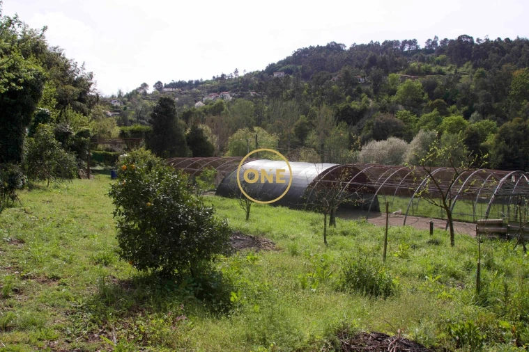 Moradia T4 para Venda em Soalhães Foto 79