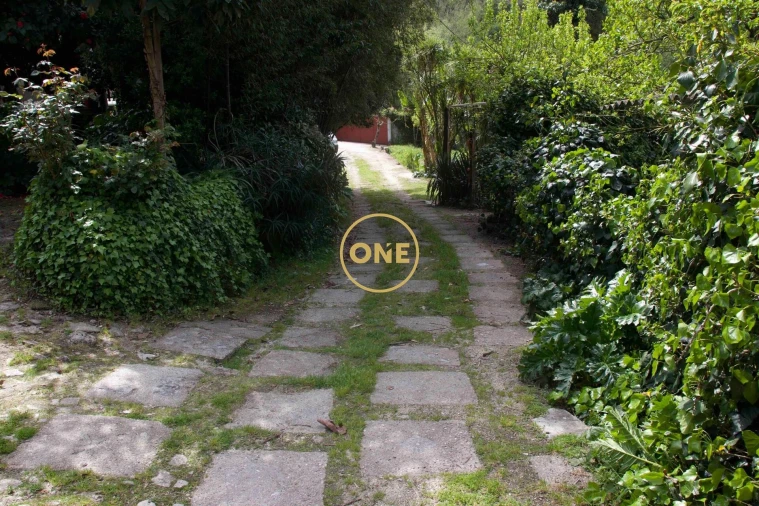 Moradia T4 para Venda em Soalhães Foto 69