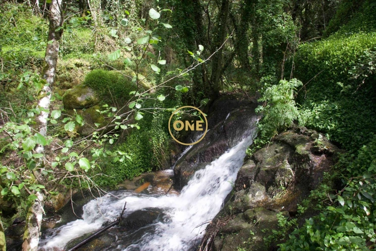 Moradia T4 para Venda em Soalhães Foto 66