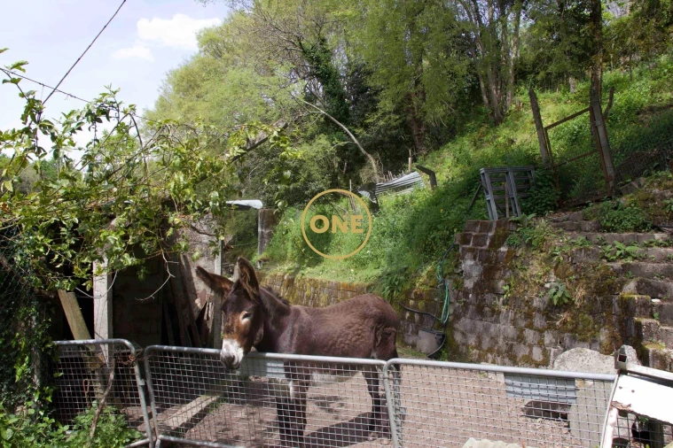 Moradia T4 para Venda em Soalhães Foto 61