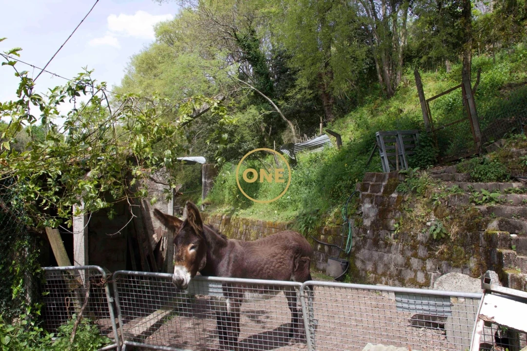 Moradia T4 para Venda em Soalhães Foto 61