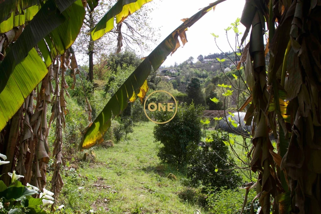 Moradia T4 para Venda em Soalhães Foto 78