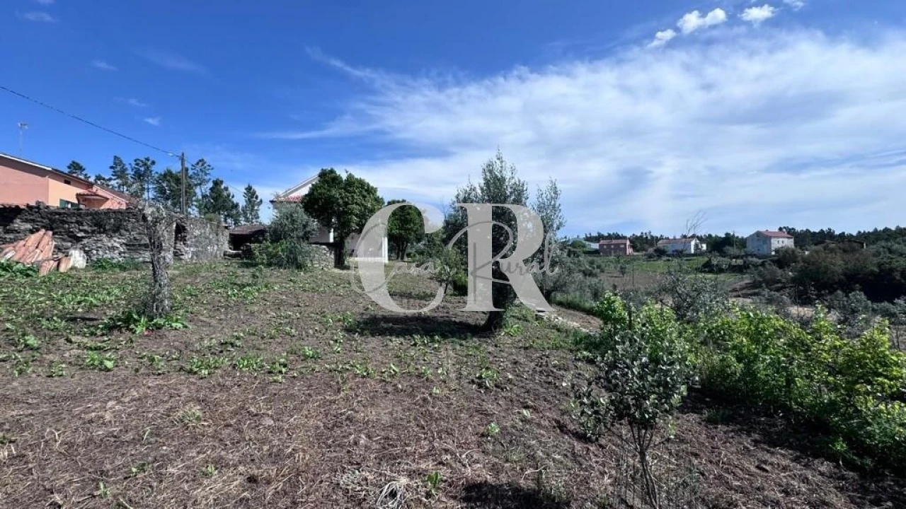 Moradia T2 para Venda em Cernache do Bonjardim, Nesperal e Palhais Foto 58