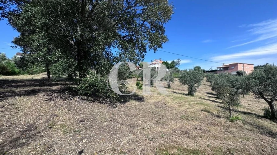 Moradia T2 para Venda em Cernache do Bonjardim, Nesperal e Palhais Foto 68