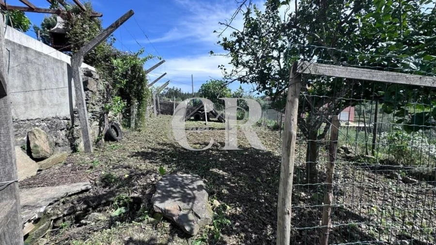 Moradia T2 para Venda em Cernache do Bonjardim, Nesperal e Palhais Foto 53