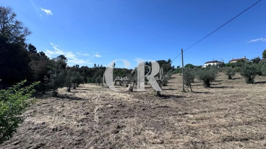 Moradia T2 para Venda em Cernache do Bonjardim, Nesperal e Palhais Foto 62