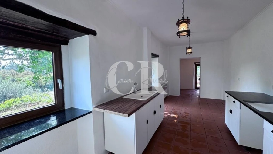 Moradia T2 para Venda em Cernache do Bonjardim, Nesperal e Palhais Foto 51