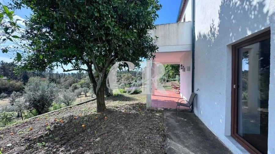 Moradia T2 para Venda em Cernache do Bonjardim, Nesperal e Palhais Foto 52