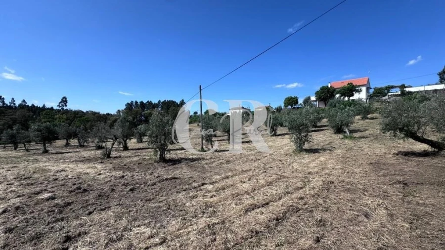 Moradia T2 para Venda em Cernache do Bonjardim, Nesperal e Palhais Foto 63