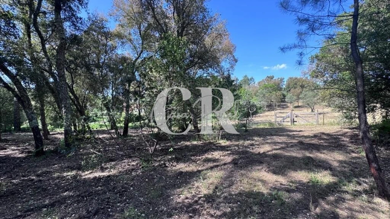 Moradia T2 para Venda em Cernache do Bonjardim, Nesperal e Palhais Foto 67