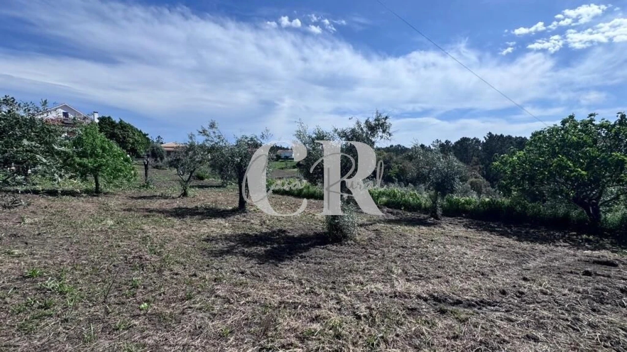 Moradia T2 para Venda em Cernache do Bonjardim, Nesperal e Palhais Foto 59