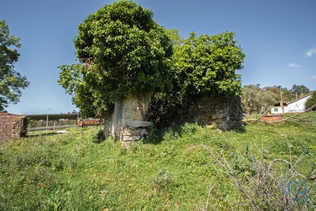 Terreno para Venda em Souto da Carpalhosa e Ortigosa Foto 14