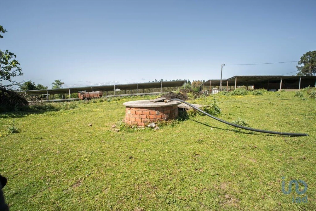 Terreno para Venda em Souto da Carpalhosa e Ortigosa Foto 6