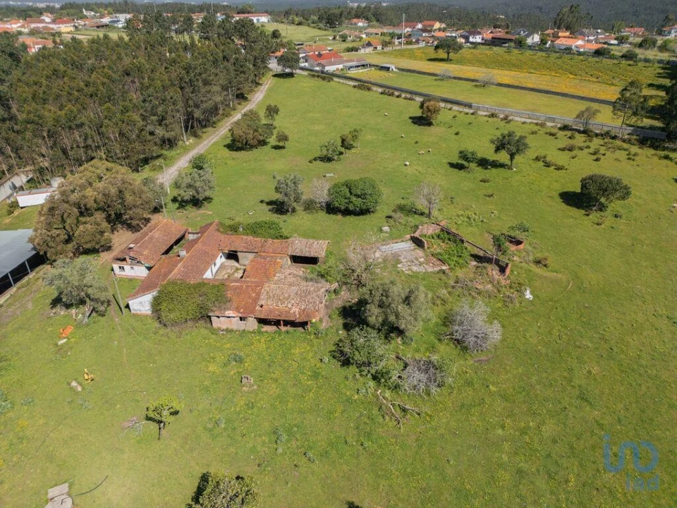 Terreno para Venda em Souto da Carpalhosa e Ortigosa Foto 3