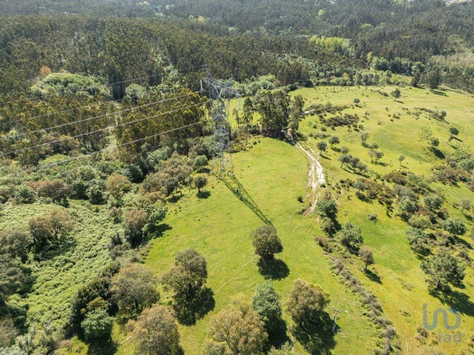 Terreno para Venda em Souto da Carpalhosa e Ortigosa Foto 8
