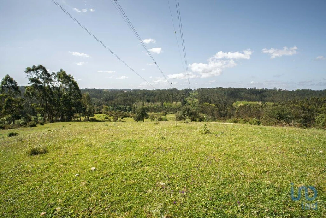 Terreno para Venda em Souto da Carpalhosa e Ortigosa Foto 9