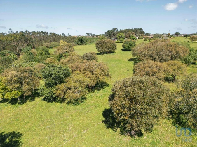 Terreno para Venda em Souto da Carpalhosa e Ortigosa Foto 12