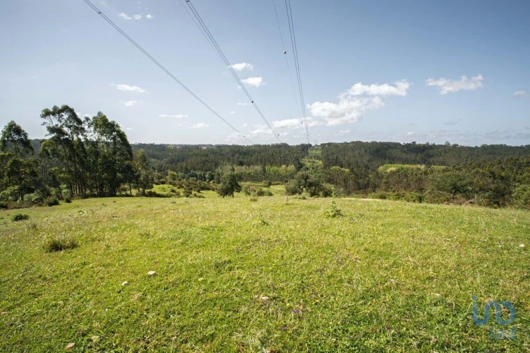Terreno para Venda em Souto da Carpalhosa e Ortigosa Foto 9