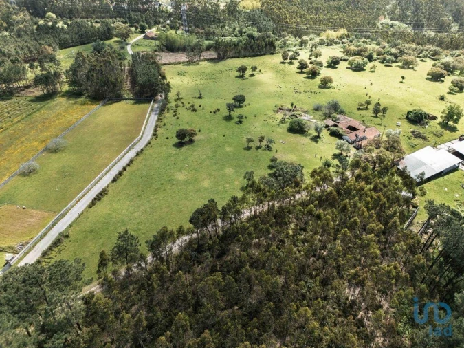 Terreno para Venda em Souto da Carpalhosa e Ortigosa